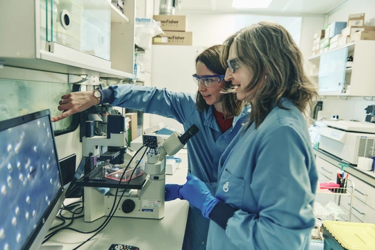 Clinical Trials